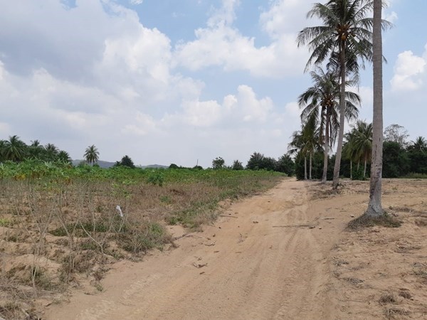 Huay yai Land for Sale 2.75 Million/Rai - Land - Huay Yai - Huay Yai