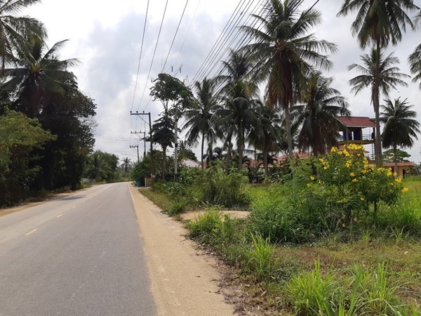 Nice land plot in Pong area - Land -  - 