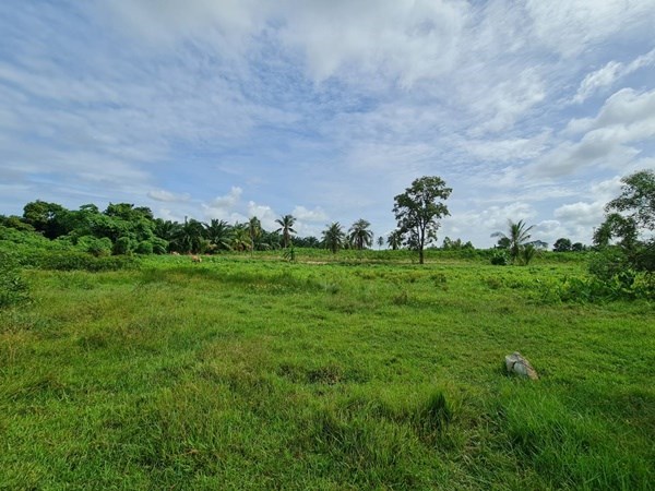 8.5 Rai located in Chark Ngaew  - Land -  - 