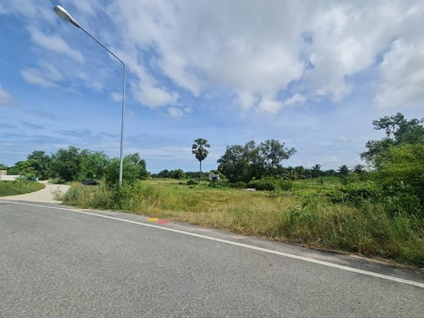 Land for Sale -1 rai in Chark Ngaew  - Land -  - 