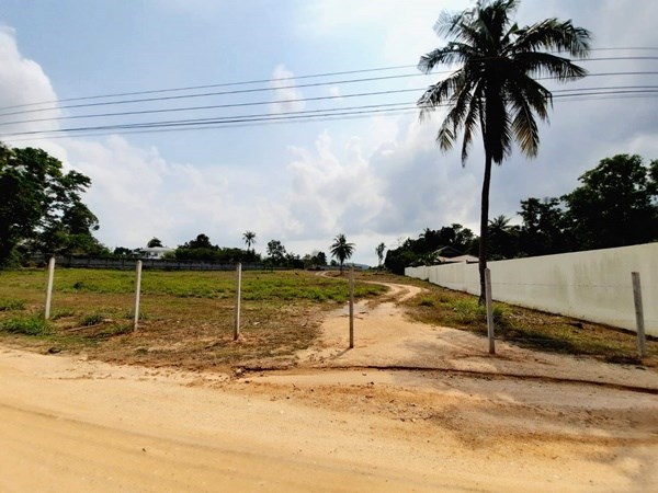 Divided land ready for housing project - Land -  - 